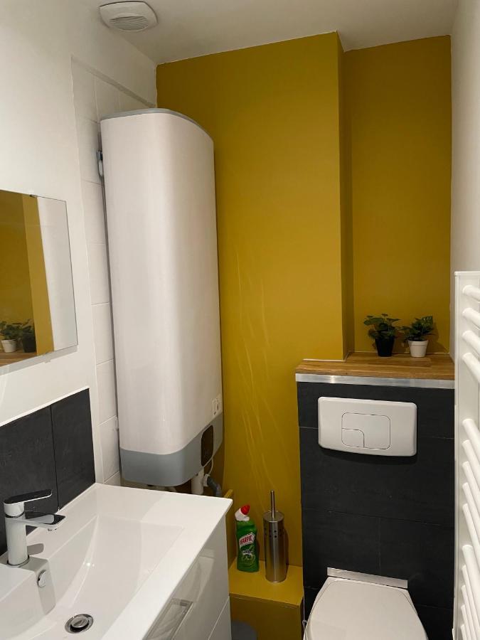 T1 Bis Cosy Proche Gare Apartment Lourdes Luaran gambar